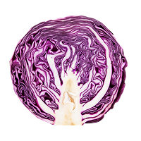 재료 이미지 14