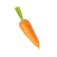 재료 이미지 8